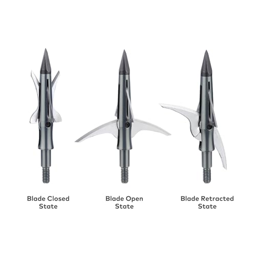 Hybrid Broadhead DSL