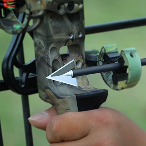 Fixed Broadheads DSB